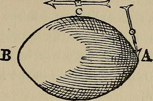 An illustration from William Gilbert of Colchester, physician of London, On the loadstone and magnetic bodies and on the great magnet the earth. A new physiology, demonstrated with many arguments and experiments .., 1893, leaf 254