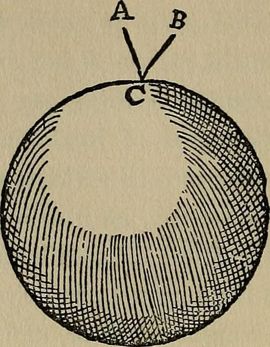 An illustration from William Gilbert of Colchester, physician of London, On the loadstone and magnetic bodies and on the great magnet the earth. A new physiology, demonstrated with many arguments and experiments .., 1893, leaf 259