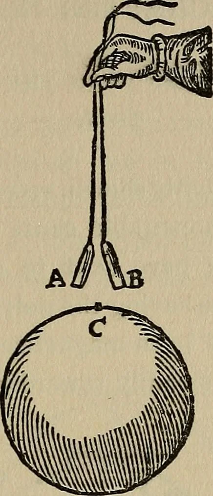 An illustration from William Gilbert of Colchester, physician of London, On the loadstone and magnetic bodies and on the great magnet the earth. A new physiology, demonstrated with many arguments and experiments .., 1893, leaf 260