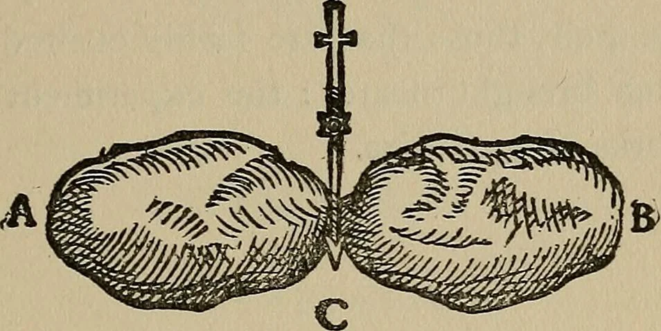 An illustration from William Gilbert of Colchester, physician of London, On the loadstone and magnetic bodies and on the great magnet the earth. A new physiology, demonstrated with many arguments and experiments .., 1893, leaf 284