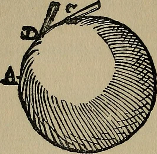 An illustration from William Gilbert of Colchester, physician of London, On the loadstone and magnetic bodies and on the great magnet the earth. A new physiology, demonstrated with many arguments and experiments .., 1893, leaf 303