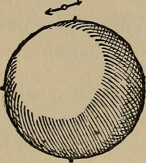 An illustration from William Gilbert of Colchester, physician of London, On the loadstone and magnetic bodies and on the great magnet the earth. A new physiology, demonstrated with many arguments and experiments .., 1893, leaf 348