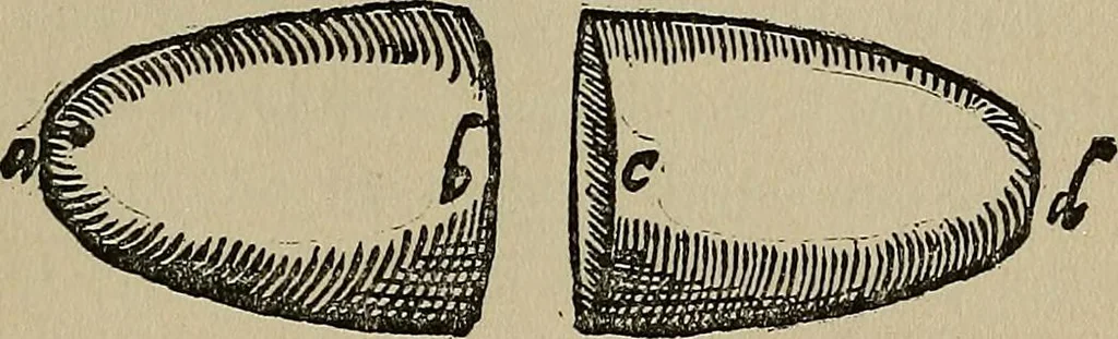 An illustration from William Gilbert of Colchester, physician of London, On the loadstone and magnetic bodies and on the great magnet the earth. A new physiology, demonstrated with many arguments and experiments .., 1893, leaf 86