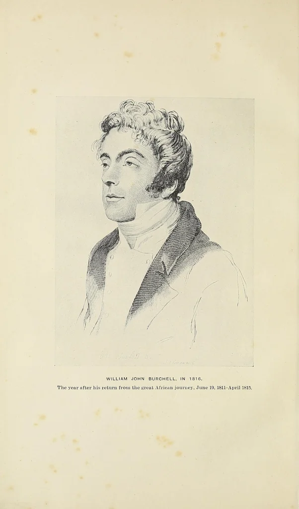 An illustration from William John Burchell : the materials of a lecture delivered before the British Association in the Town Hall, Cape Town, on Thursday evening, August 17, 1905, 1907, leaf 6