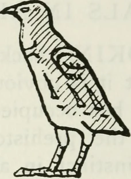 An illustration from William Morris to Whistler; papers and addresses on art and craft and the commonweal, 1911, leaf 203