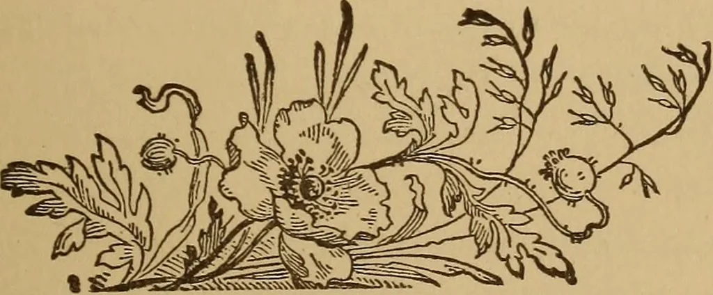 An illustration from The will to be well, 1906, leaf 192