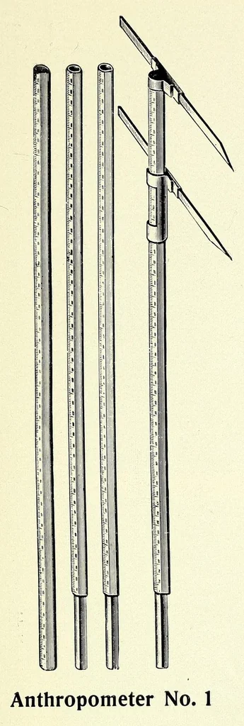 An illustration from Wissenschaftliche Messinstrumente für Anthropologie nach Prof. Dr. Rud. Martin und für Orthopädie nach Dr. Wilhelm Schulthess, 1911, leaf 11