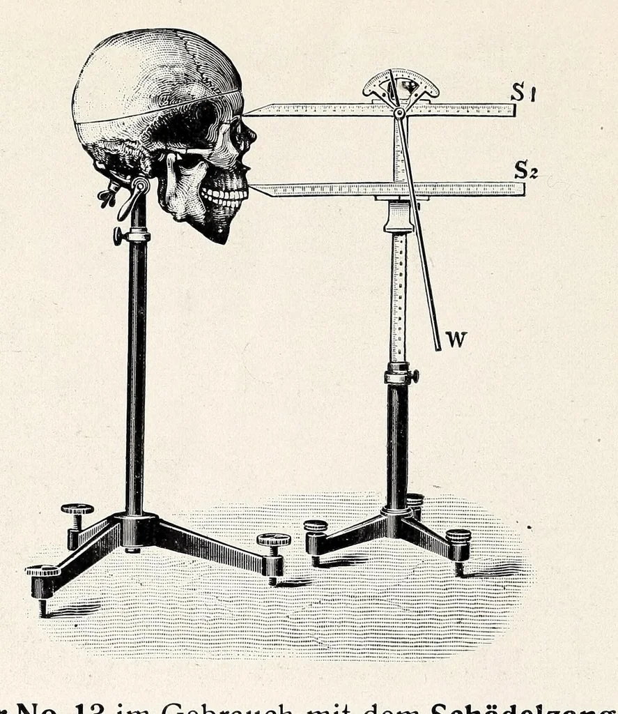 An illustration from Wissenschaftliche Messinstrumente für Anthropologie nach Prof. Dr. Rud. Martin und für Orthopädie nach Dr. Wilhelm Schulthess, 1911, leaf 14