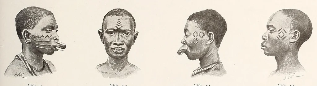 An illustration from Wissenschaftliche Ergebnisse meiner ethnographischen Forschungsreise in den Südosten Deutsch-Ostafrikas, 1908, leaf 173