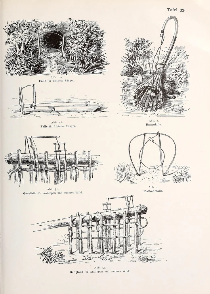 An illustration from Wissenschaftliche Ergebnisse meiner ethnographischen Forschungsreise in den Südosten Deutsch-Ostafrikas, 1908, leaf 237