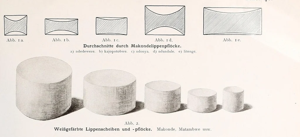 An illustration from Wissenschaftliche Ergebnisse meiner ethnographischen Forschungsreise in den Südosten Deutsch-Ostafrikas, 1908, leaf 263