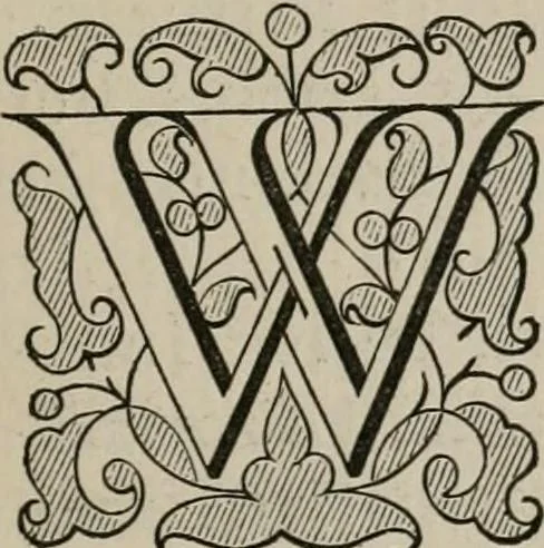 An illustration from The witchcraft delusion in New England; its rise, progress, and termination, as exhibited by Dr. Cotton Mather, in The wonders of the invisible world; and by Mr. Robert Calef, in his More wonders of the invisible world. With a preface, introduction, and notes, by Samuel G. Drake .., 1866, leaf 20