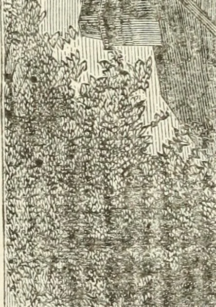 An illustration from Witchcraft in Salem village in 1692 : together with some account of other witchcraft prosecutions in New England and elsewhere, 1892, leaf 129