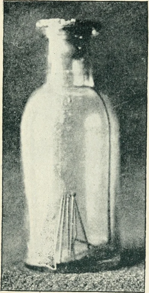 An illustration from Witchcraft in Salem village in 1692 : together with some account of other witchcraft prosecutions in New England and elsewhere, 1892, leaf 258