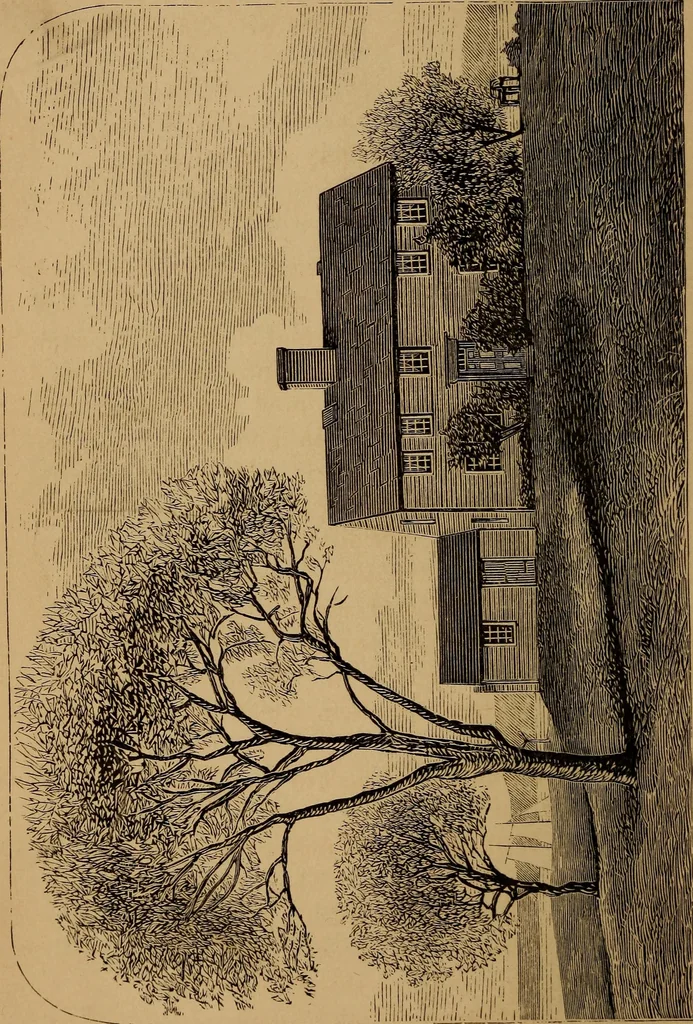 An illustration from Witch Hill : a history of Salem witchcraft, including illustrative sketches of persons and places, 1870, leaf 161