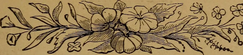 An illustration from Witch Hill : a history of Salem witchcraft, including illustrative sketches of persons and places, 1870, leaf 252