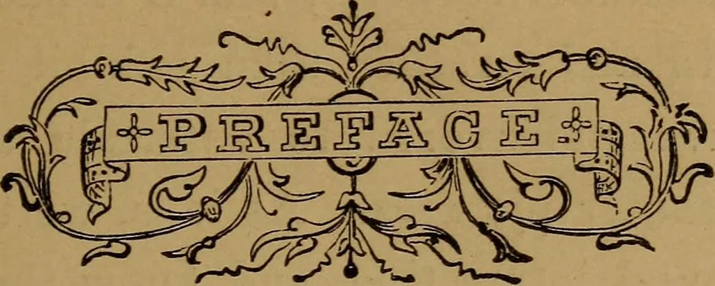 An illustration from Witch Hill : a history of Salem witchcraft, including illustrative sketches of persons and places, 1870, leaf 8
