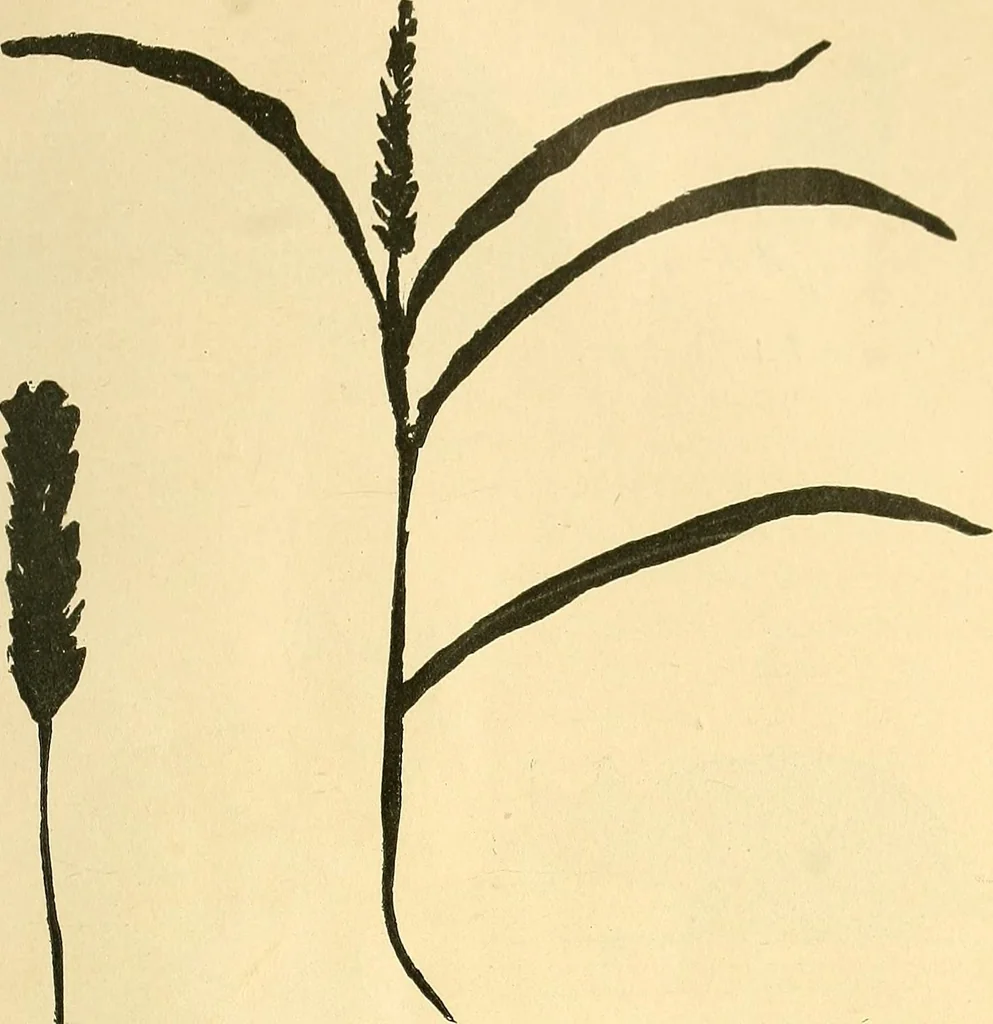 An illustration from With brush and pen : suggestions for some of the newer phases of public school art instruction, 1897, leaf 24