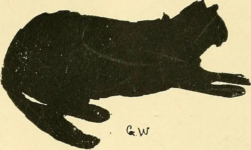 An illustration from With brush and pen : suggestions for some of the newer phases of public school art instruction, 1897, leaf 25