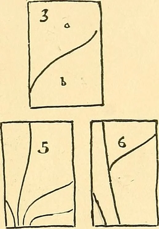An illustration from With brush and pen : suggestions for some of the newer phases of public school art instruction, 1897, leaf 28