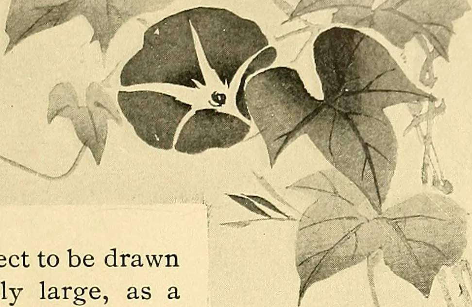 An illustration from With brush and pen : suggestions for some of the newer phases of public school art instruction, 1897, leaf 30