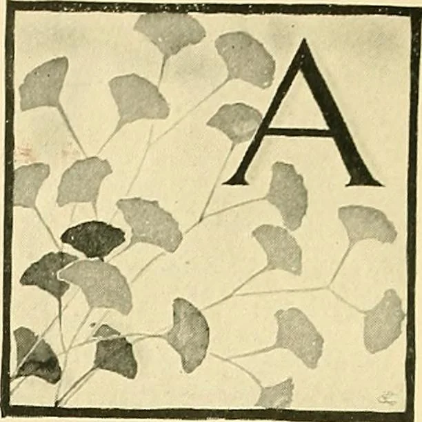 An illustration from With brush and pen : suggestions for some of the newer phases of public school art instruction, 1897, leaf 33