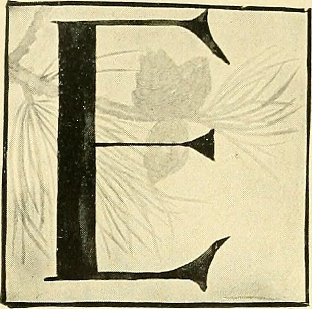 An illustration from With brush and pen : suggestions for some of the newer phases of public school art instruction, 1897, leaf 39