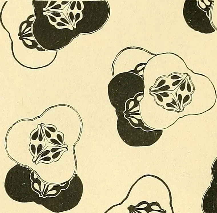 An illustration from With brush and pen : suggestions for some of the newer phases of public school art instruction, 1897, leaf 41