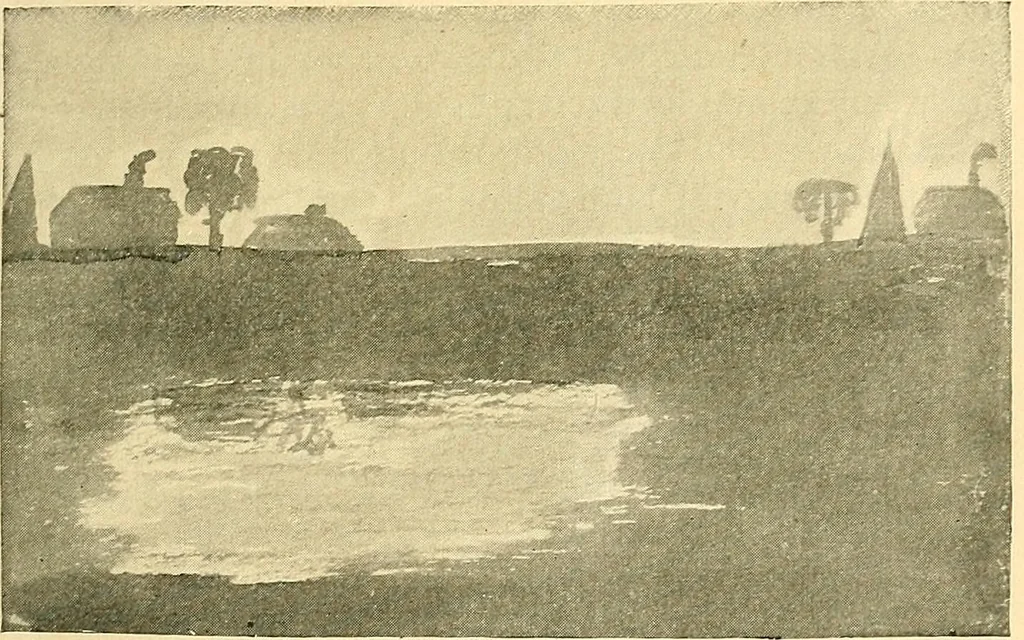 An illustration from With brush and pen : suggestions for some of the newer phases of public school art instruction, 1897, leaf 50