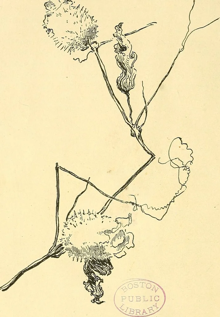 An illustration from With brush and pen : suggestions for some of the newer phases of public school art instruction, 1897, leaf 59