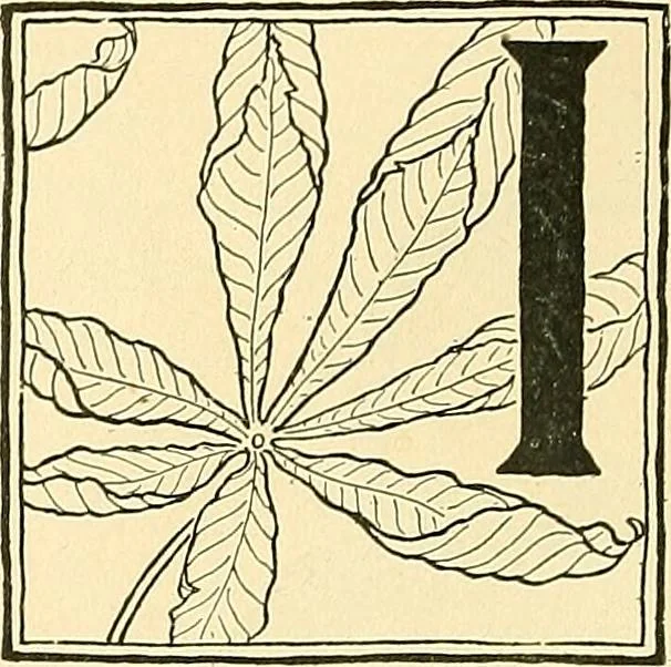 An illustration from With brush and pen : suggestions for some of the newer phases of public school art instruction, 1897, leaf 65