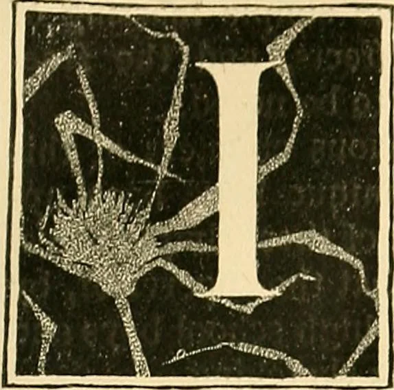 An illustration from With brush and pen : suggestions for some of the newer phases of public school art instruction, 1897, leaf 72