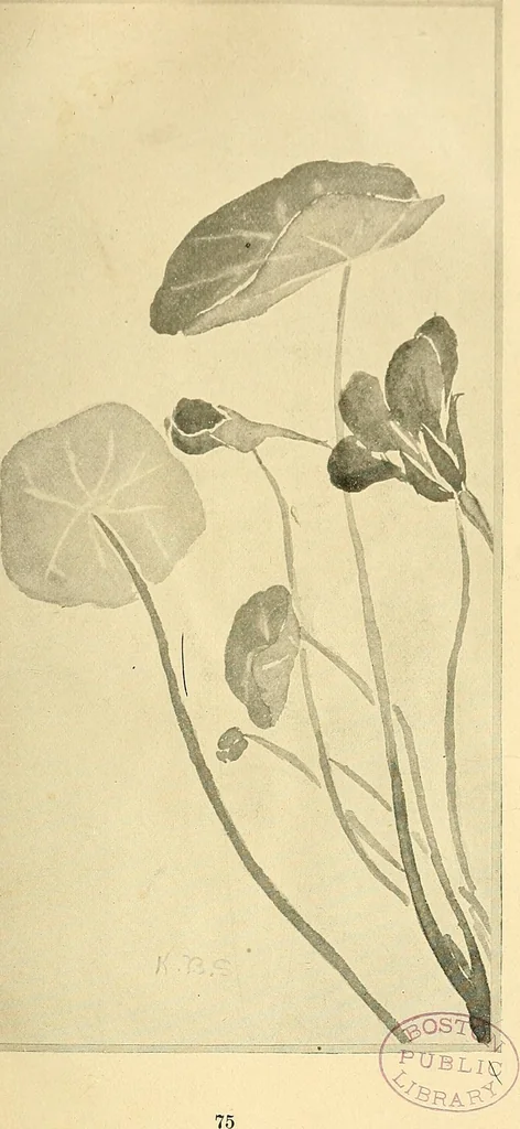 An illustration from With brush and pen : suggestions for some of the newer phases of public school art instruction, 1897, leaf 78