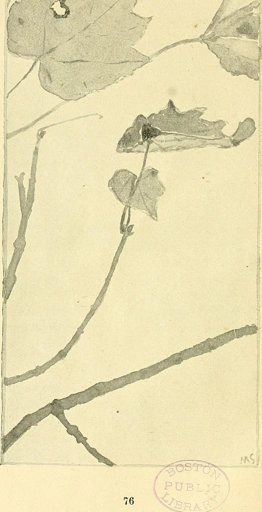 An illustration from With brush and pen : suggestions for some of the newer phases of public school art instruction, 1897, leaf 79