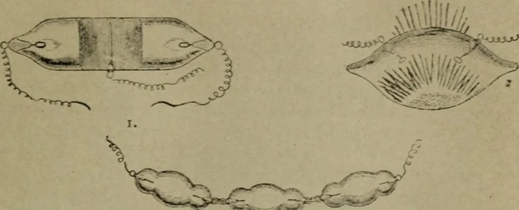 An illustration from Within the mind maze, or, Mentonomy, the law of the mind, 1911, leaf 112