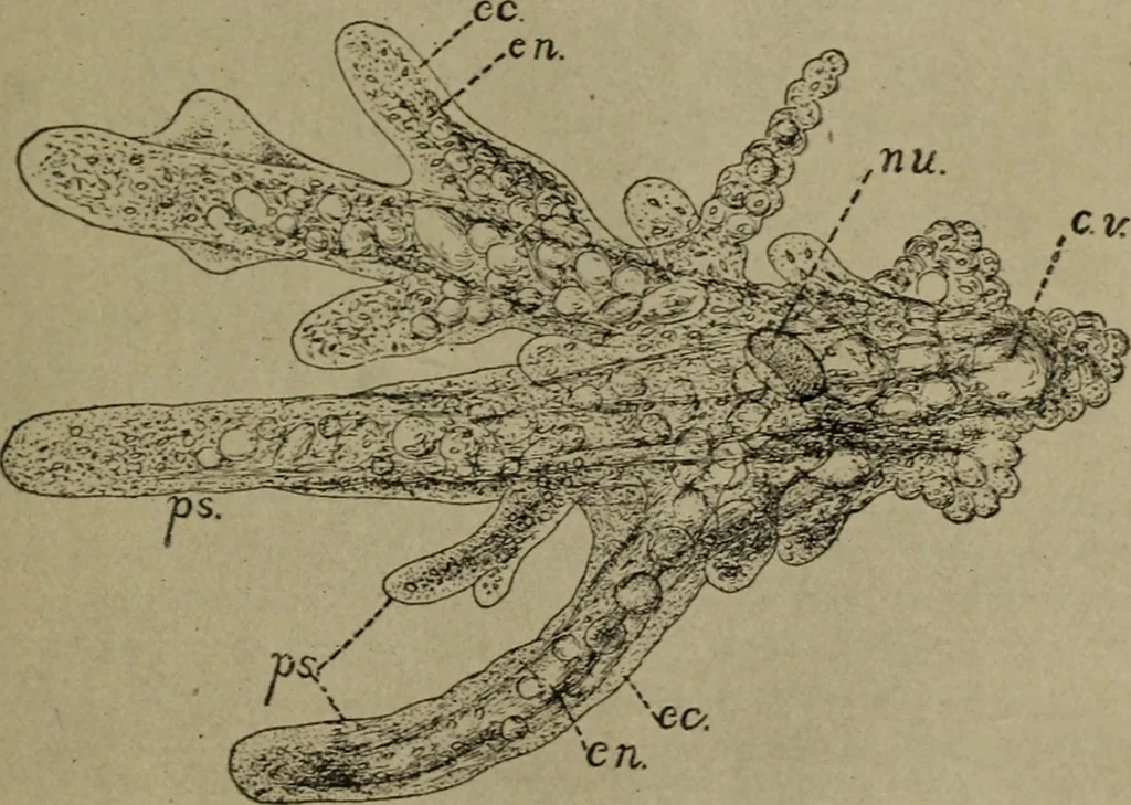 An illustration from Within the mind maze, or, Mentonomy, the law of the mind, 1911, leaf 130