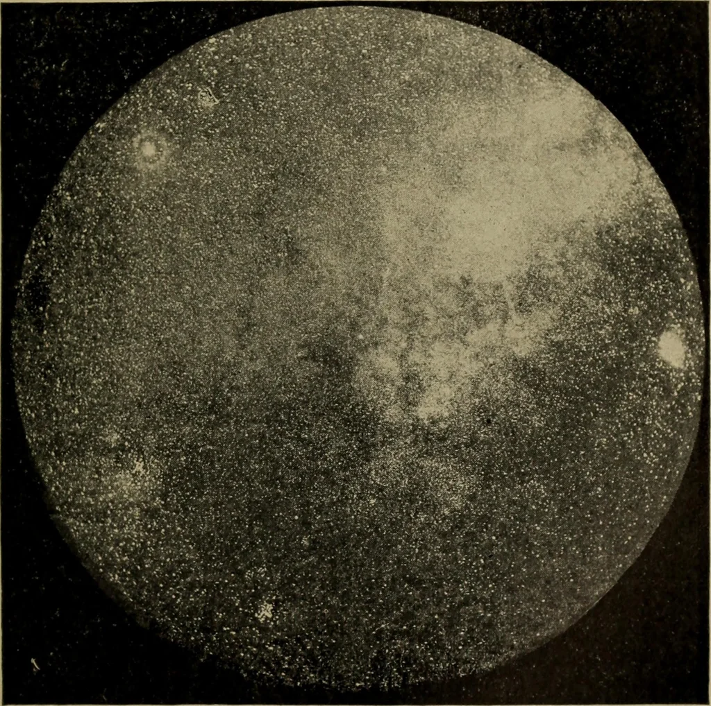 An illustration from Within the mind maze, or, Mentonomy, the law of the mind, 1911, leaf 76