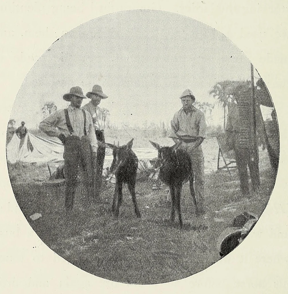 An illustration from With Wilson in Matabeleland, or, Sport and war in Zambesia, 1894, leaf 136