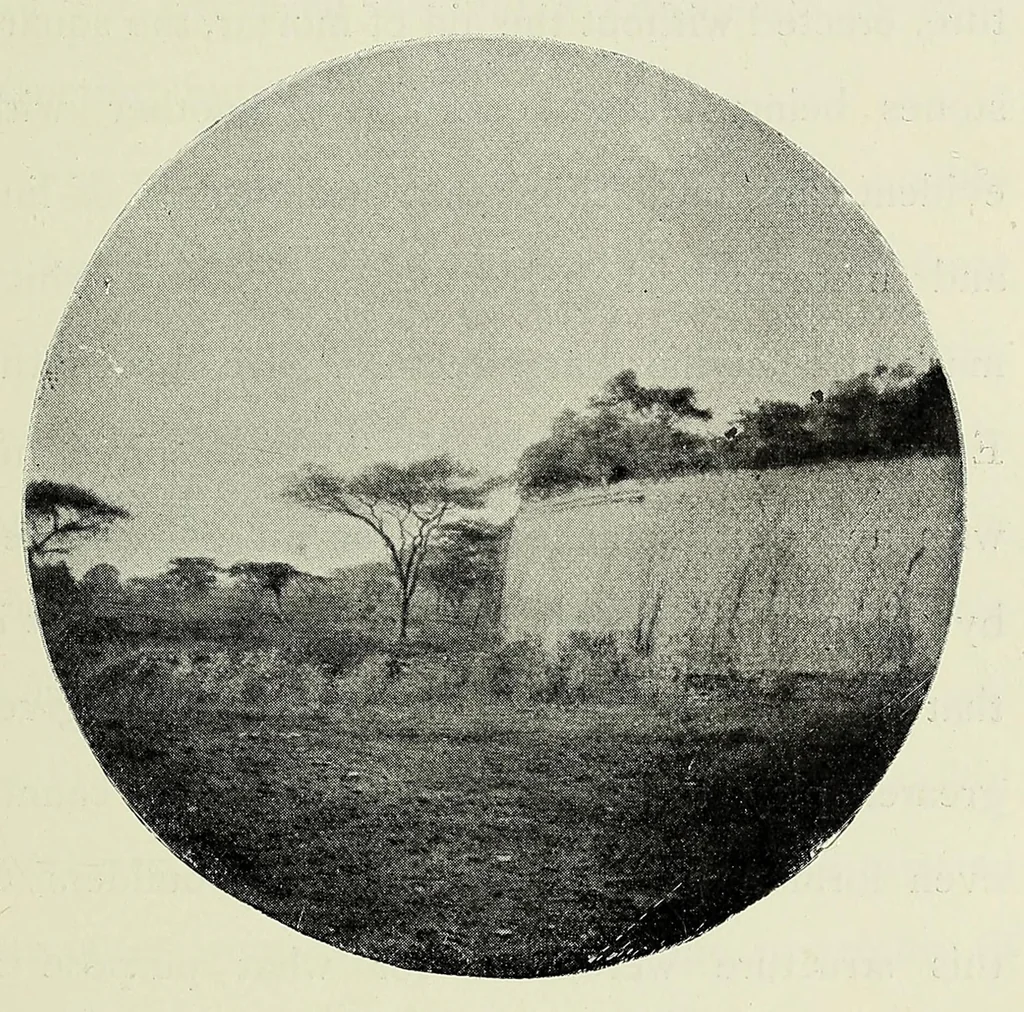 An illustration from With Wilson in Matabeleland, or, Sport and war in Zambesia, 1894, leaf 171