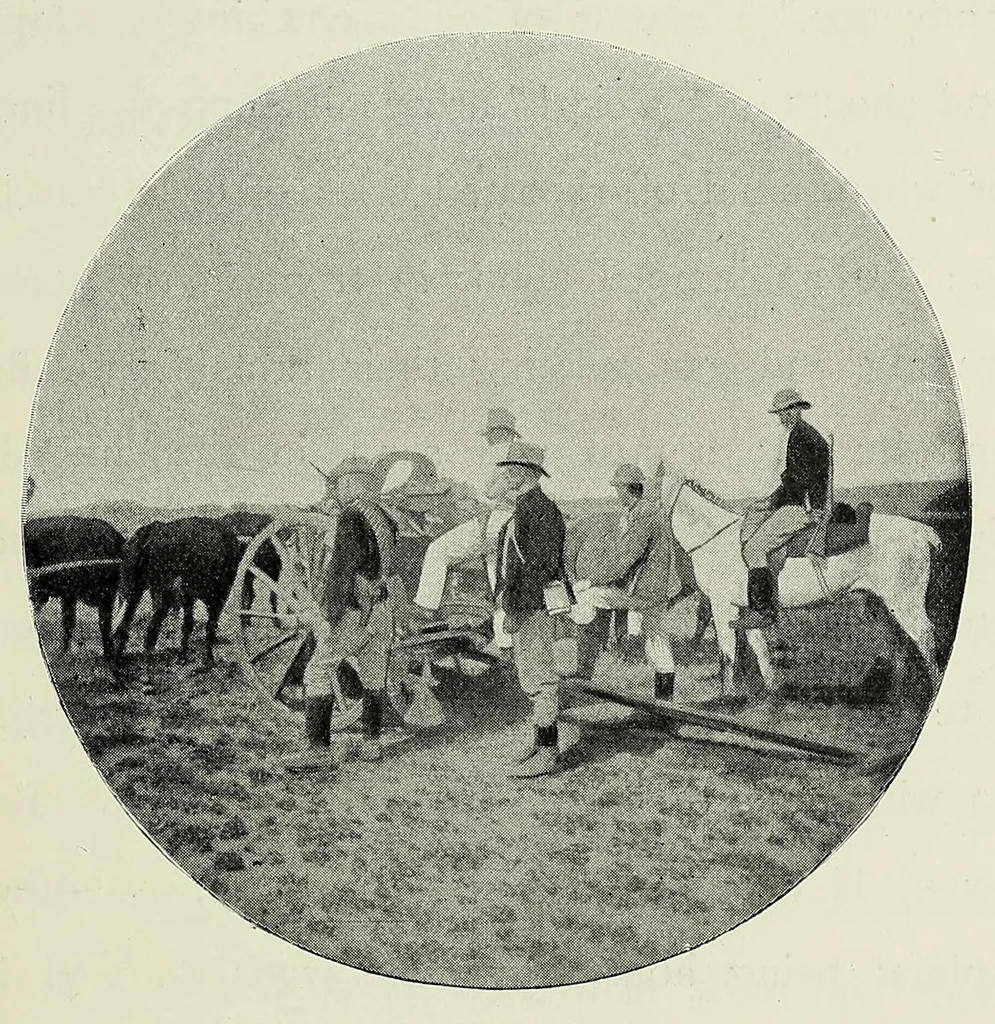 An illustration from With Wilson in Matabeleland, or, Sport and war in Zambesia, 1894, leaf 217