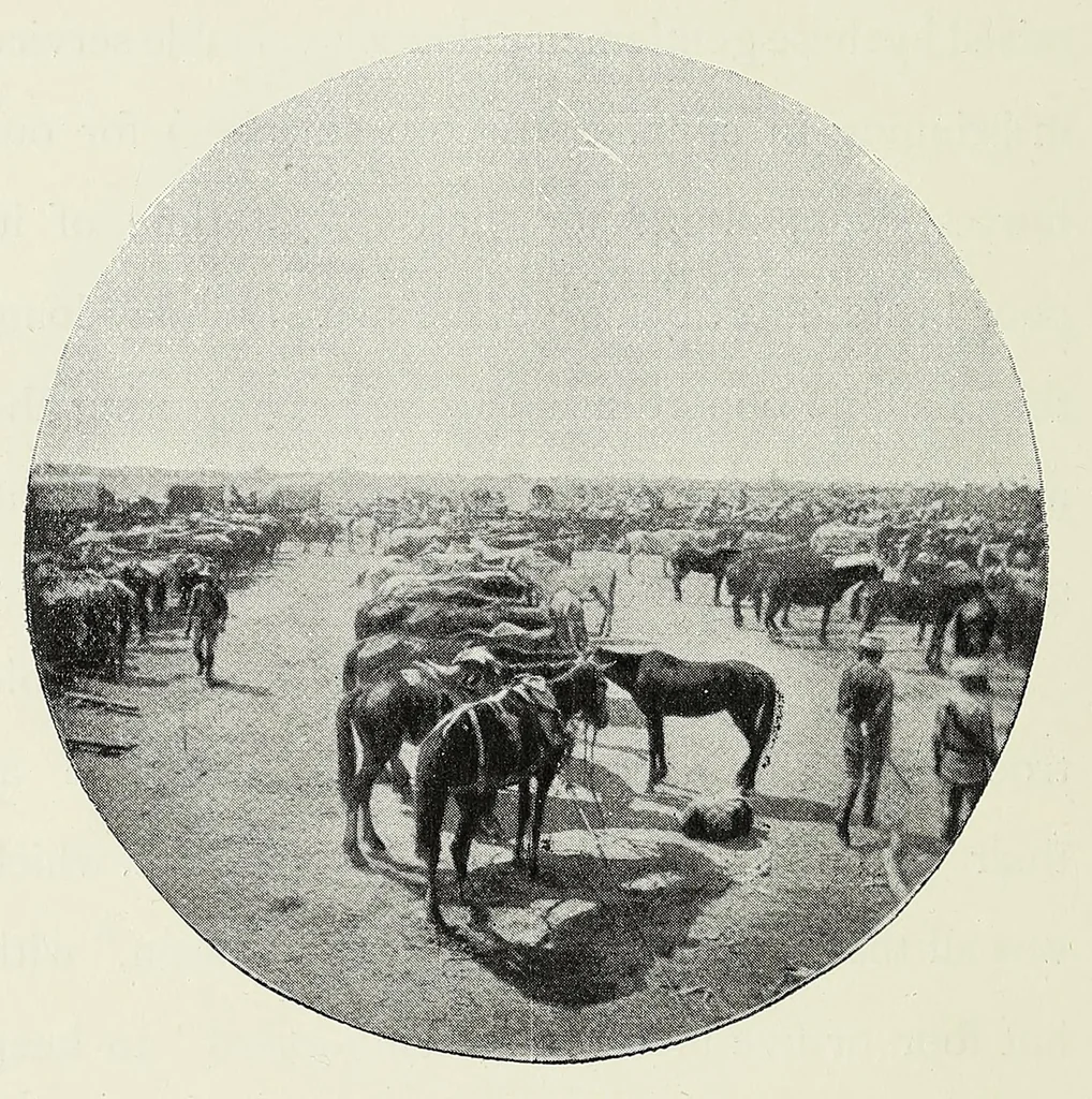 An illustration from With Wilson in Matabeleland, or, Sport and war in Zambesia, 1894, leaf 234
