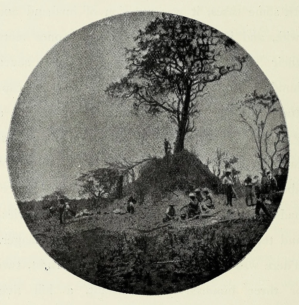 An illustration from With Wilson in Matabeleland, or, Sport and war in Zambesia, 1894, leaf 250