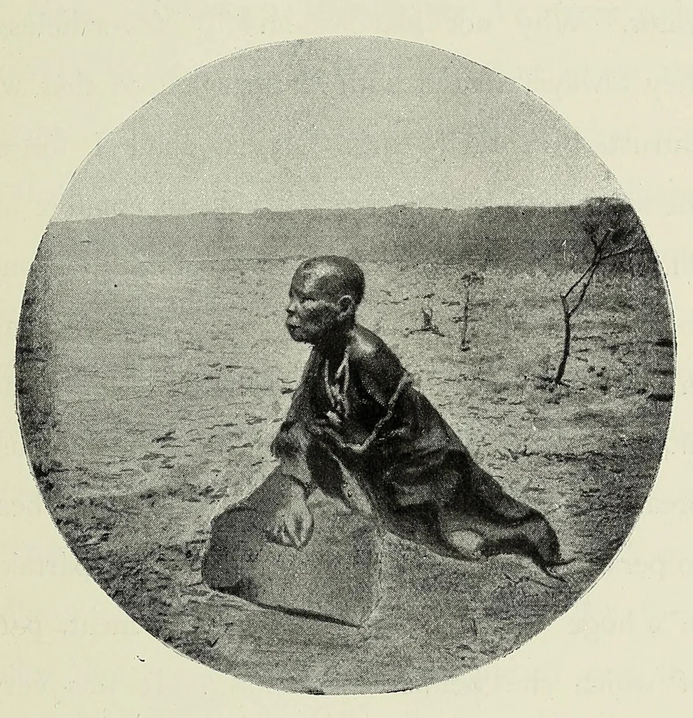 An illustration from With Wilson in Matabeleland, or, Sport and war in Zambesia, 1894, leaf 291