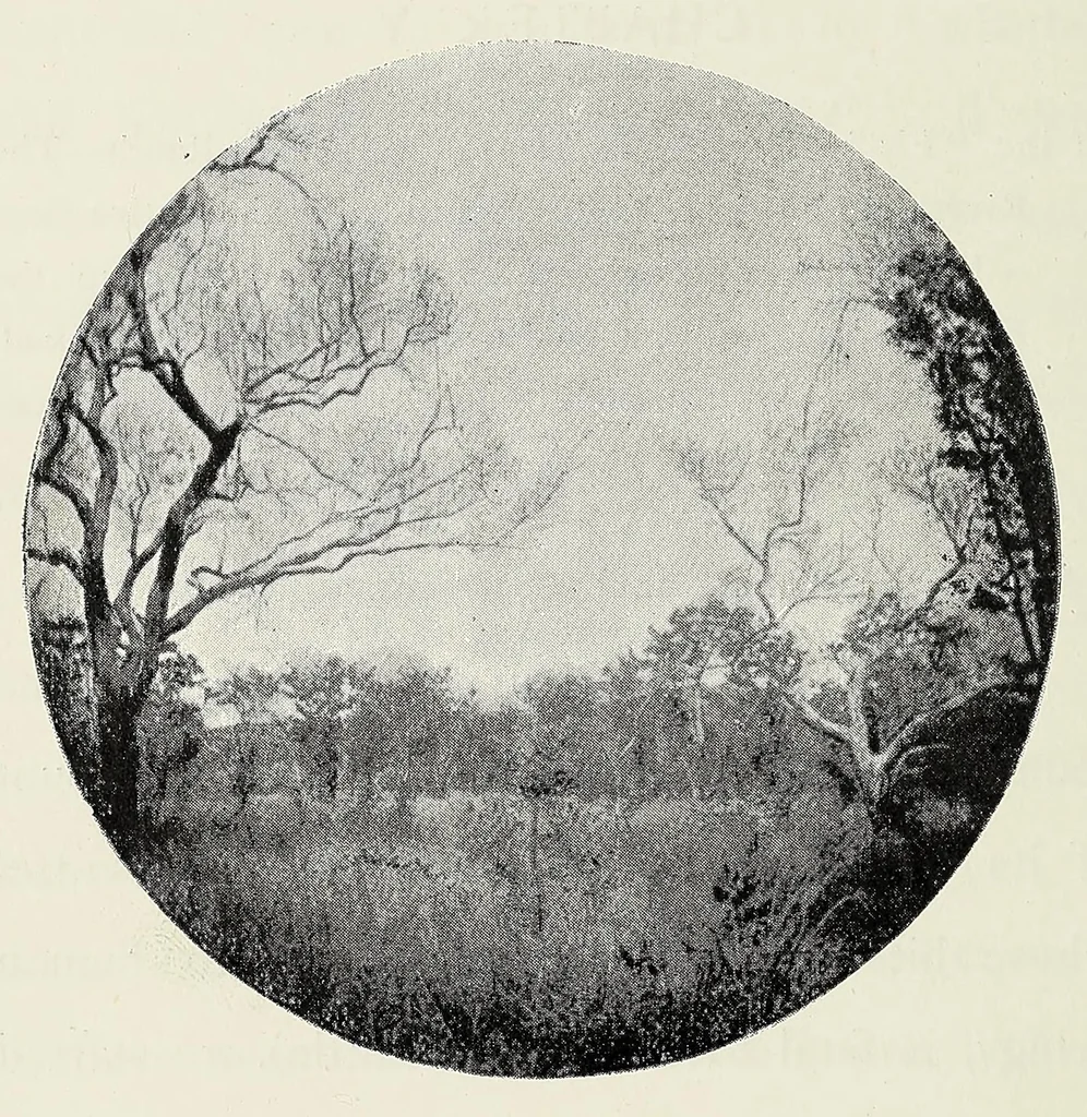 An illustration from With Wilson in Matabeleland, or, Sport and war in Zambesia, 1894, leaf 92