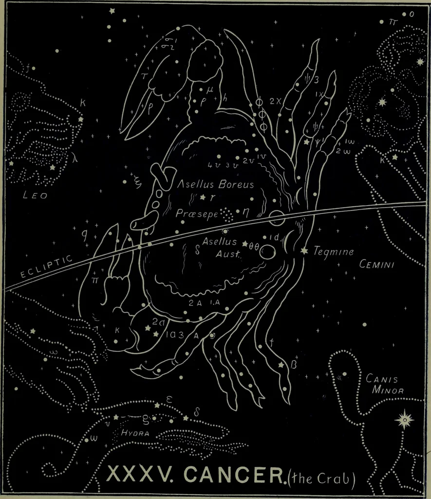 An illustration from The witness of the stars, 1921, leaf 232
