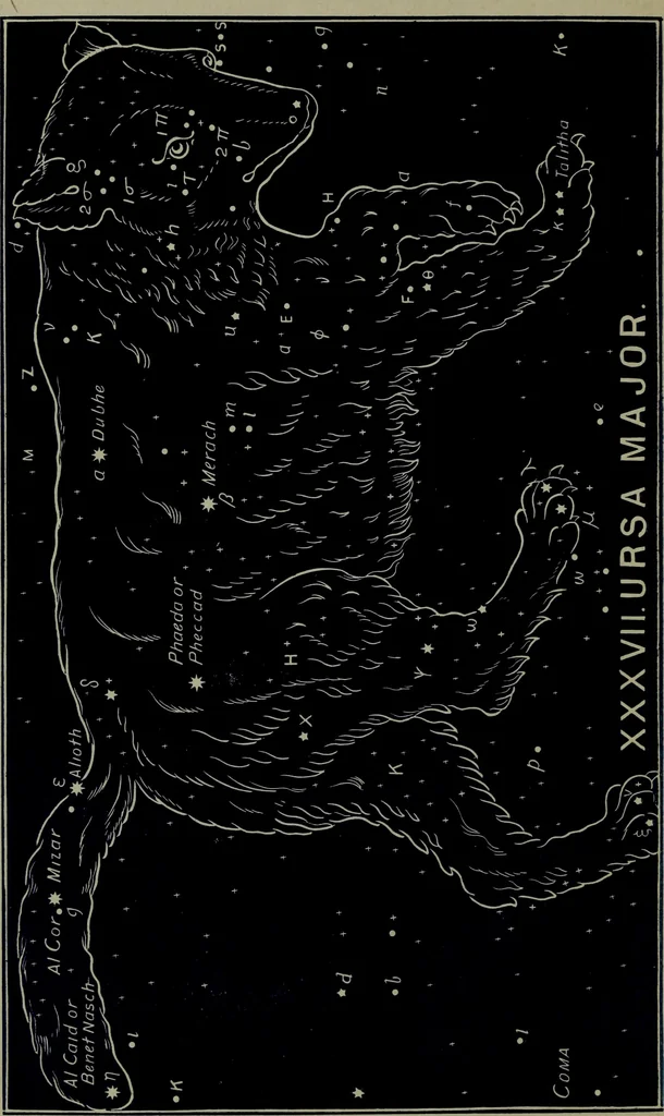 An illustration from The witness of the stars, 1921, leaf 243