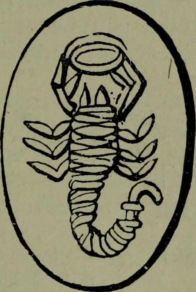An illustration from The witness of the stars, 1921, leaf 298