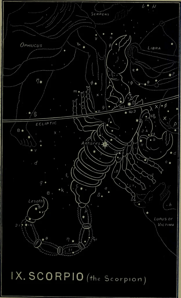 An illustration from The witness of the stars, 1921, leaf 86