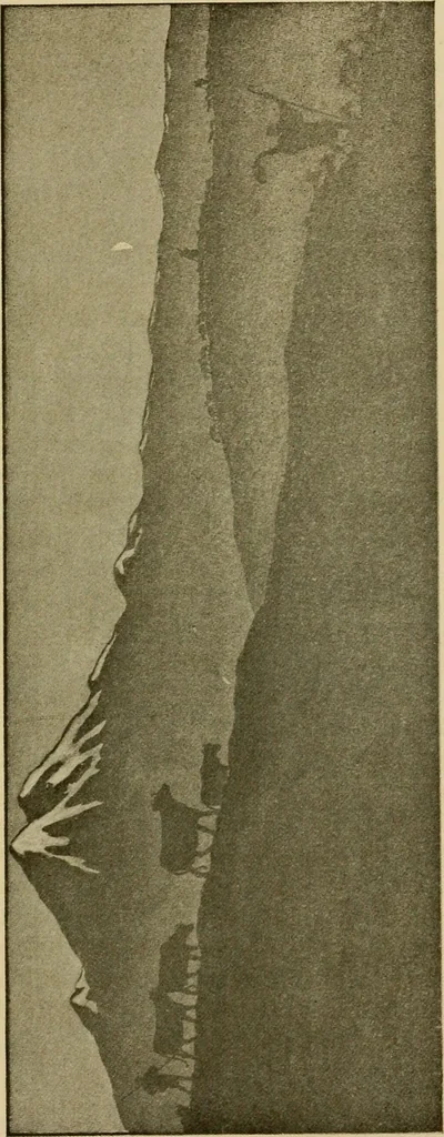 An illustration from The W. Martin Johnson school of art. Elementary instruction in color, perspective, lights and shadows, pen drawing and composition, 1909, leaf 114