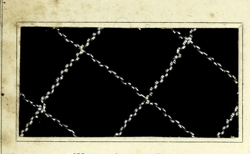 An illustration from Wollmarineblau P2B und Kresolschwarz S4B mit Glanzstoffeffekten im Stück gefärbt = Bleu marine pour laine P2B et noir krésol S4B teints sur pièce avec effets de soire artificielle (Glanzstoff d'Elberfeld) = Wool navy blue P2B and kresol black S4B dyed on piece with Elberfeld artificial silk threads (Glanzstoff), 1890, leaf 3